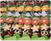 jardim